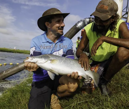 First NT project will take more Barramundi to the world