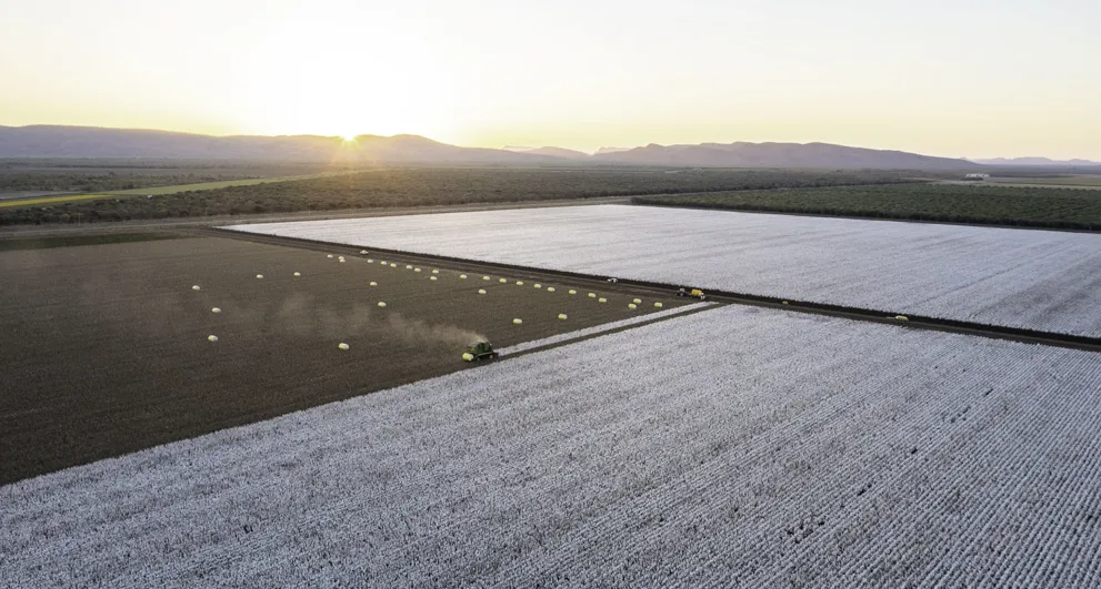 Kimberley Cotton Co Gin Aerial Wide View Of Tracktor Picking Cotton In A Large Field At Sunset With Mountains Kununnurra