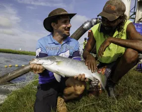 Humpty Doo Barramundi CEO Holding A Large Barramundi With And Indigenous Employee At The Side Of A Pond (1)