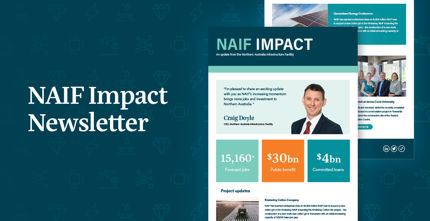 NAIF Newsletter graphic