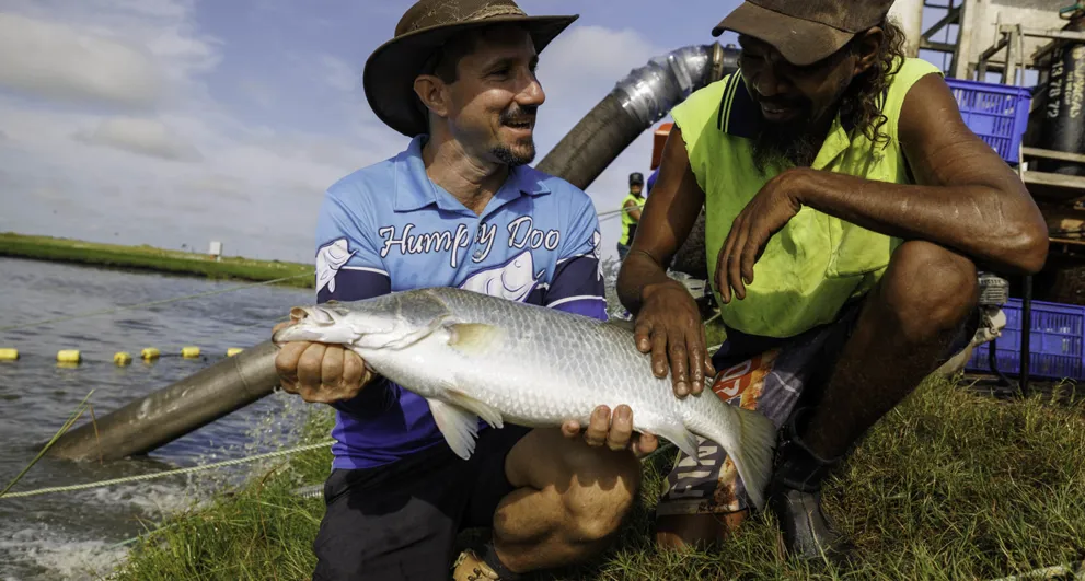 Indigenous worker with CEO of Humpty Doo Barramundi holding a fish beside a pond